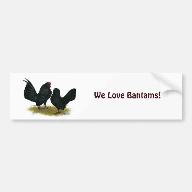 D'Anvers Black Bantams Bumper Sticker (Front)