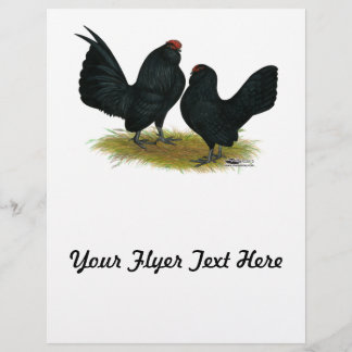 D'Anvers Black Bantams Flyer