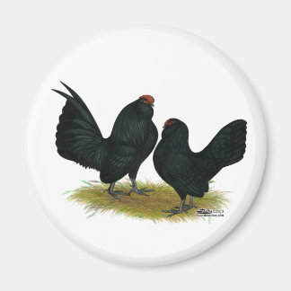 D'Anvers Black Bantams Magnet