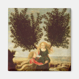 Daphne and Apollo, c.1470-80 Magnet