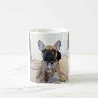 Daphne Coffee Mug