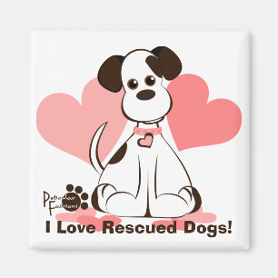 Daphne the Adopted Dog Magnet