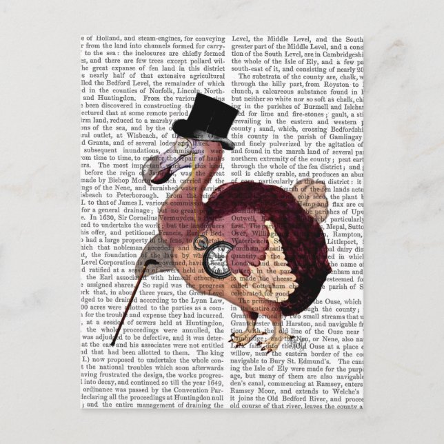 Dapper Dodo Postcard (Front)