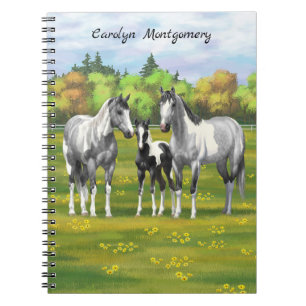 Dapple Gray Pinto Paint Horses In Summer Pasture Notebook