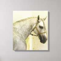 Dapple Grey Andalusian Horse