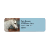 Dapple Grey Andalusian Horse Portrait