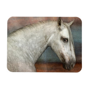Dapple Grey Andalusian Horse Portrait Magnet