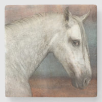 Dapple Grey Andalusian Horse Portrait