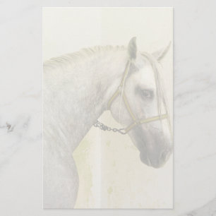 Dapple Grey Andalusian Horse Stationery