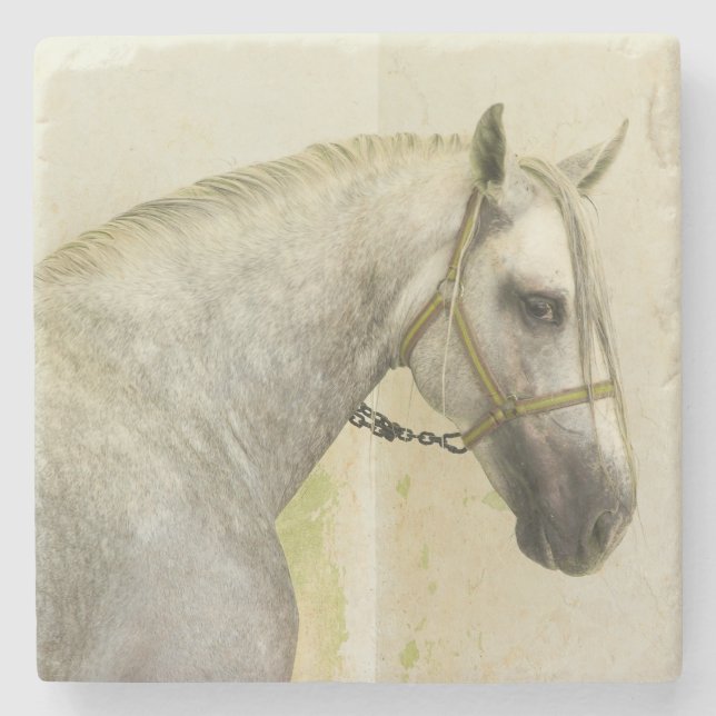 Dapple Grey Andalusian Horse Stone Coaster (Front)