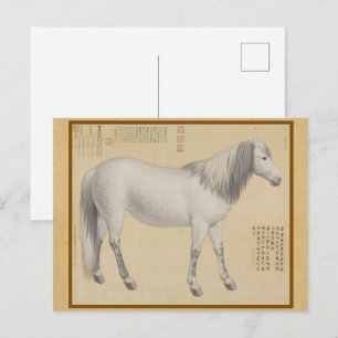 Dapple Grey Horse - Vintage Chinese Fine Art Postcard