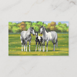 Dapple Grey Pinto Paint Horses In Summer Pasture Business Card
