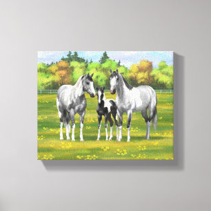 Dapple Grey Pinto Paint Horses In Summer Pasture Canvas Print