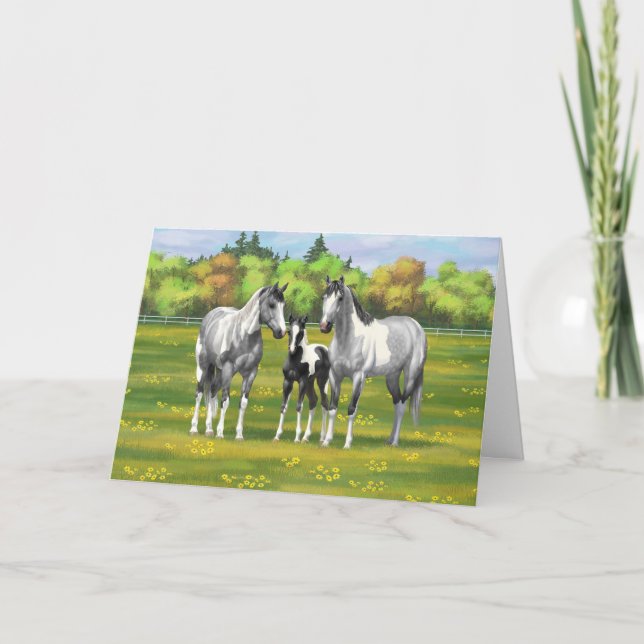 Dapple Grey Pinto Paint Horses In Summer Pasture Card (Front)