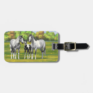 Dapple Grey Pinto Paint Horses In Summer Pasture Luggage Tag