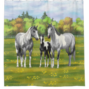 Dapple Grey Pinto Paint Horses In Summer Pasture Shower Curtain