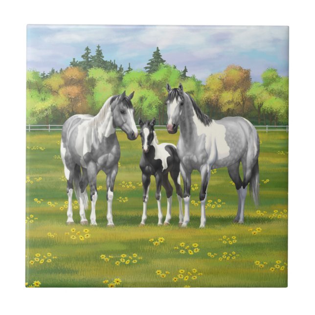 Dapple Grey Pinto Paint Horses In Summer Pasture Tile (Front)