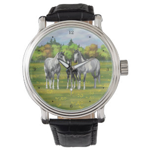 Dapple Grey Pinto Paint Horses In Summer Pasture Watch