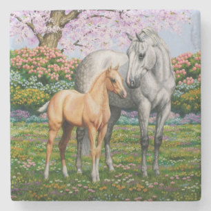 Dapple Grey Quarter Horse Mare Palomino Foal Stone Coaster