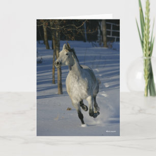 Dapple Grey Trakehner Running in the Snow Card
