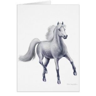 Dappled Grey Arabian Horse Card