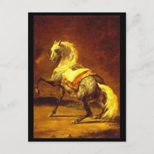 DAPPLED GREY HORSE POSTCARD