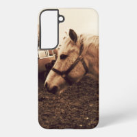 Dappled Horse and Bus