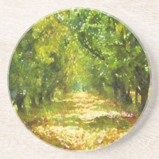 Dappled Light of Day Dreams Tree Avenue Art Coaster