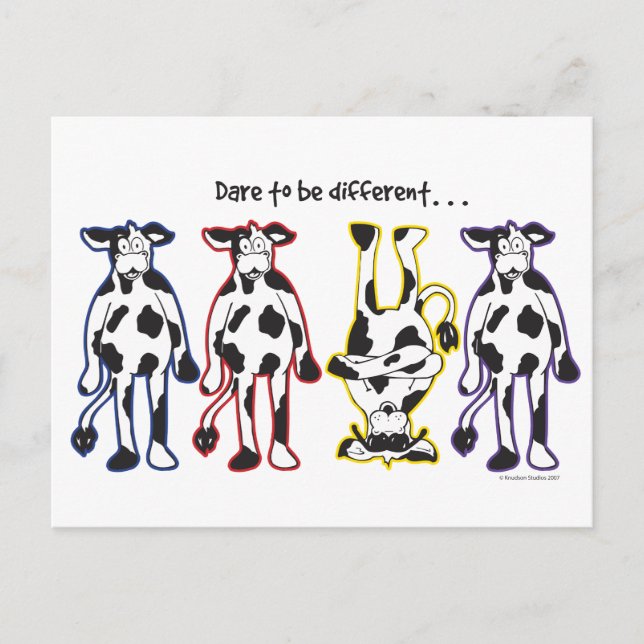 Dare to be Different Cows Postcard (Front)