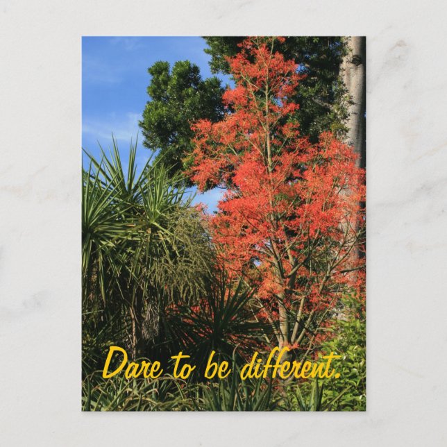 Dare to be Different - Show off your true colours Postcard (Front)