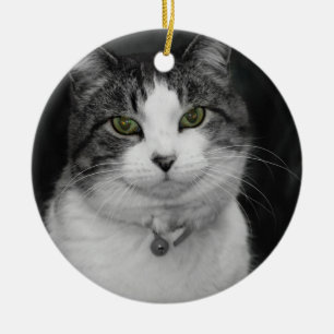 Dare to Look Into My Green Eyes Ceramic Tree Decoration