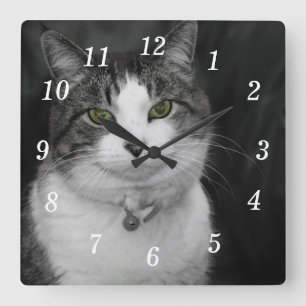Dare to Look Into My Green Eyes Wall Clock
