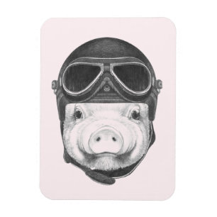 Daredevil Pig Magnet