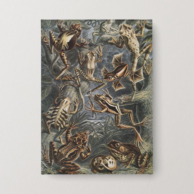 Dark Academia Haeckel Vintage Frog Nature Print (Front)