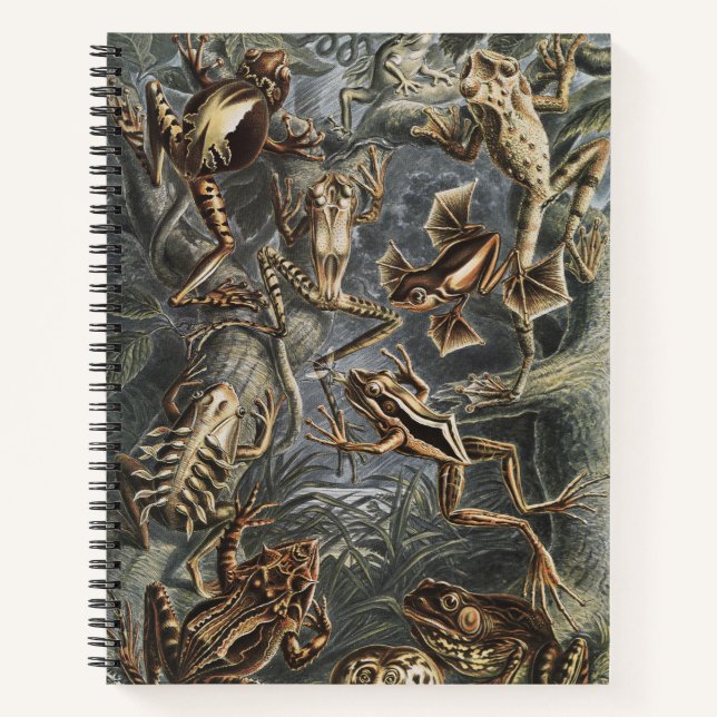 Dark Academia Haeckel Vintage Frog Nature Print Notebook (Front)