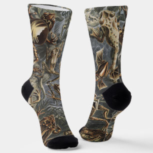Dark Academia Haeckel Vintage Frog Nature Print Socks
