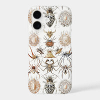 Dark Academia Haeckel Vintage Spider Symmetry Art