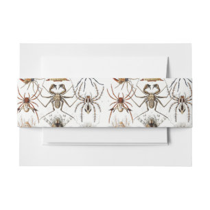Dark Academia Haeckel Vintage Spider Symmetry Art Invitation Belly Band
