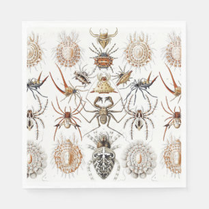Dark Academia Haeckel Vintage Spider Symmetry Art Napkin