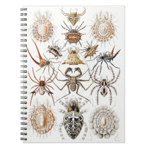 Dark Academia Haeckel Vintage Spider Symmetry Art Notebook