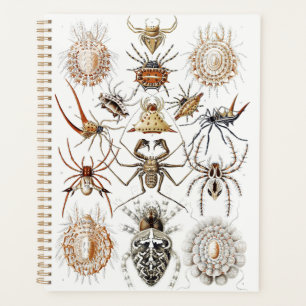 Dark Academia Haeckel Vintage Spider Symmetry Art Planner