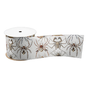 Dark Academia Haeckel Vintage Spider Symmetry Art Satin Ribbon