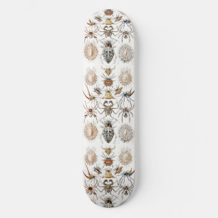 Dark Academia Haeckel Vintage Spider Symmetry Art Skateboard