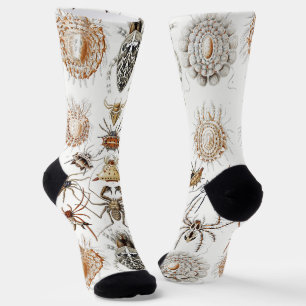 Dark Academia Haeckel Vintage Spider Symmetry Art Socks
