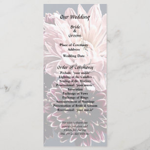 Dark and Light Mums and Daisies Programme