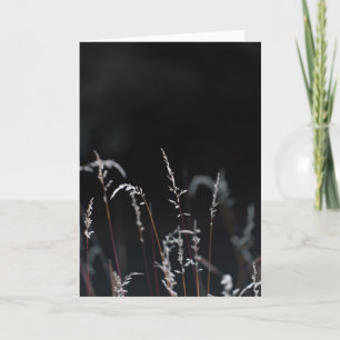 Dark and moody nature, Sympathy Card