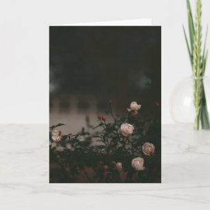Dark and moody roses in garden Sympathy Card