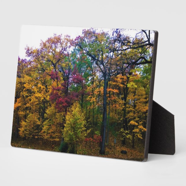 Dark Autumn Forest Plaque (Side)