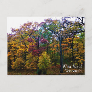 Dark Autumn Forest Postcard