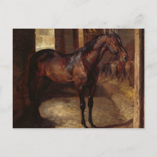 Dark Bay Horse in the stable Postcard